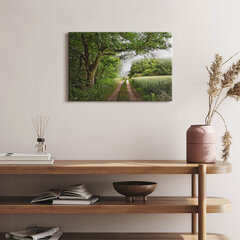 Seinapilt Tee, puud ja päikesekiired цена и информация | Картины, живопись | kaup24.ee