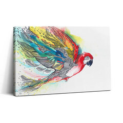 Seinapilt Akvarellvärviline papagoi lennus hind ja info | Seinapildid | kaup24.ee