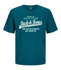 Мужская футболка Jack & Jones, бирюзовая цена и информация | Мужские футболки | kaup24.ee