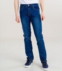 Мужские джинсы, тёмно-синий цена и информация | Мужские джинсы | kaup24.ee