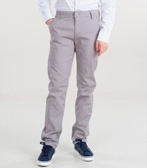 Мужские брюки 364353 01, светло-серый 364353*01-042 цена и информация | Мужские брюки | kaup24.ee