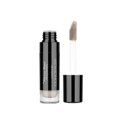 Консилер для век Pierre Rene Contour covering 01 eye concealer, 7 мл цена и информация | Пудры, базы под макияж | kaup24.ee