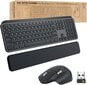 Logitech MX Keys Combo Gen 2 Graphite (920-010933) цена и информация | Klaviatuurid | kaup24.ee