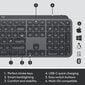 Logitech MX Keys Combo Gen 2 Graphite (920-010933) цена и информация | Klaviatuurid | kaup24.ee