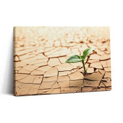 Seinapilt Istutage kuiva pinnasesse hind ja info | Seinapildid | kaup24.ee