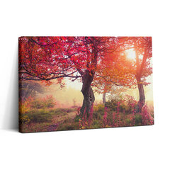 Печать холста. Осенние деревья 39,99 цена и информация | Картины, живопись | kaup24.ee
