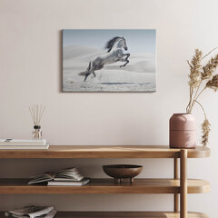 Seinapilt Galopp valge hobune цена и информация | Картины, живопись | kaup24.ee