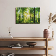 Seinapilt Looduslikud metsapuud цена и информация | Картины, живопись | kaup24.ee