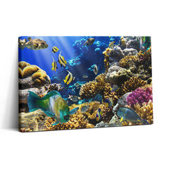 Seinapilt Foto kaladest korallrifil hind ja info | Seinapildid | kaup24.ee