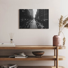 Seinapilt Chicago mustvalged tänavad цена и информация | Картины, живопись | kaup24.ee