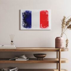 Seinapilt Prantsuse lipp hind ja info | Seinapildid | kaup24.ee