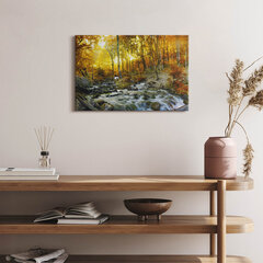 Картина из закаленного стекла Осенний лес цена и информация | Картины, живопись | kaup24.ee
