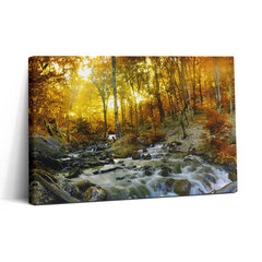 Картина из закаленного стекла Осенний лес цена и информация | Картины, живопись | kaup24.ee