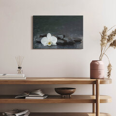 Seinapilt Valge lill Zen kivid цена и информация | Картины, живопись | kaup24.ee