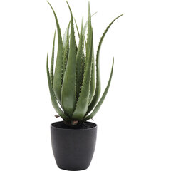 Dekoratiivtaim "Aloe", 69cm hind ja info | Kunstlilled | kaup24.ee