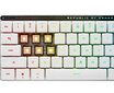 Asus ROG Falchion RX Low Profile 65% Red Switch (90MP03EC-BKUA10) hind ja info | Klaviatuurid | kaup24.ee