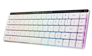 Asus ROG Falchion RX Low Profile 65% Red Switch (90MP03EC-BKUA10) hind ja info | Klaviatuurid | kaup24.ee