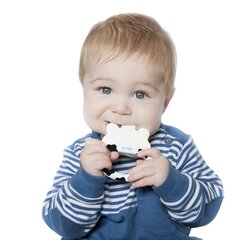 Külmutatav närimislelu Kidsme Icy Moo hind ja info | Imikute mänguasjad | kaup24.ee