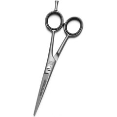 Ножницы парикмахерские Solingen P550 цена и информация | Расчески, щетки для волос, ножницы | kaup24.ee