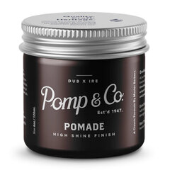 Juuksepomaad Pomp & Co Pomade High Shine Finish, 113 g hind ja info | Viimistlusvahendid juustele | kaup24.ee