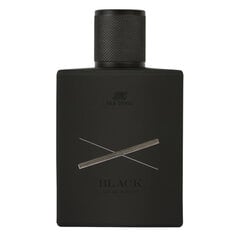 Parfüümvesi Pan Drwal Black EDP 01 meestele, 100 ml hind ja info | Meeste parfüümid | kaup24.ee