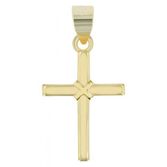 Позолоченный серебряный крестик Shaghafi "Servius" цена и информация | Мужские украшения | kaup24.ee