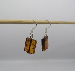Серебряные серьги для женщин с оранжевыми янтарными бусинами цена и информация | Серьги | kaup24.ee