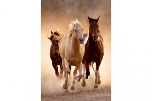 Pusle hobustega Clementoni, 39771, 1000 tk hind ja info | Pusled | kaup24.ee