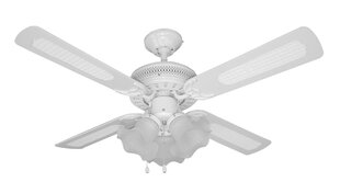 Valgusti ventilaatoriga G.Lux GF-OTO hind ja info | Ventilaatoriga valgustid | kaup24.ee