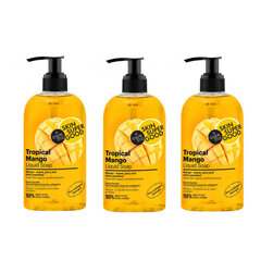 Vedel käteseep Skin Super Godd Mango Pro-collagen Therapy, 3 x 500 ml цена и информация | Мыло | kaup24.ee