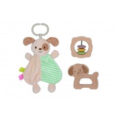 Beebi mänguasjakomplekt Tooky Toy hind ja info | Imikute mänguasjad | kaup24.ee