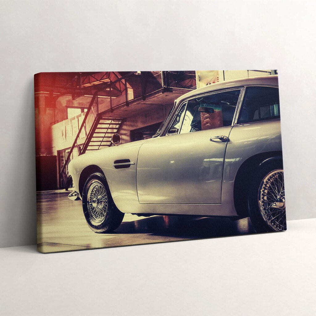 Seinapilt Aston Martin DB5 hind ja info | Seinapildid | kaup24.ee