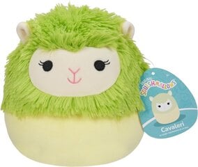 Pehme mänguasi Squishmallows W18 A Cavaleri SQCR0537 hind ja info | Pehmed mänguasjad | kaup24.ee