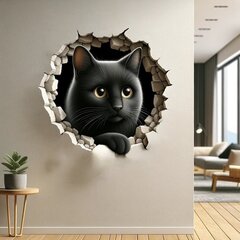 3D наклейка на стену - кот в иллюзии трещины цена и информация | Декоративные наклейки | kaup24.ee