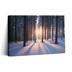 Seinapilt Päikeseloojang ja mets talvel hind ja info | Seinapildid | kaup24.ee