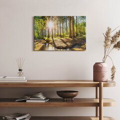 Seinapilt Päike puude taga metsas цена и информация | Картины, живопись | kaup24.ee