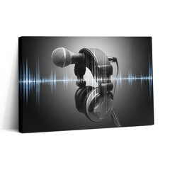 Seinapilt Mikrofon ja kõrvaklapid hind ja info | Seinapildid | kaup24.ee
