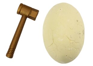 Arheoloogiline dinosauruse munade komplekt hind ja info | Arendavad mänguasjad | kaup24.ee