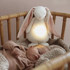Kaisukas Jänes Moonie Power hind ja info | Imikute mänguasjad | kaup24.ee