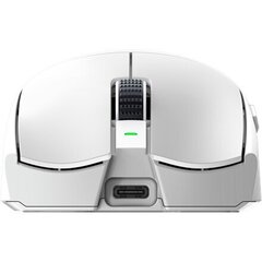 Razer Viper V3 Pro Белый цвет (RZ01-05120200-R3G1) цена и информация | Мыши | kaup24.ee