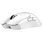 Razer Viper V3 Pro White (RZ01-05120200-R3G1) цена и информация | Hiired | kaup24.ee