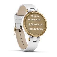 Garmin Lily, классические белые цена и информация | Смарт-часы (smartwatch) | kaup24.ee