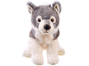 Плюшевый волк, 23 см цена и информация | Мягкие игрушки | kaup24.ee
