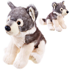 Плюшевый волк, 23 см цена и информация | Мягкие игрушки | kaup24.ee
