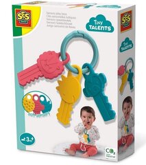 Sensoorne mänguasi SES Creative Tiny Talents Keys 13115 hind ja info | Imikute mänguasjad | kaup24.ee