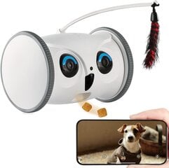 Интерактивная игрушка с дозатором лакомств для животных цена и информация | Игрушки для собак | kaup24.ee