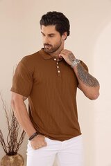 Мужские рубашки поло Plilima, коричневая цена и информация | Мужские футболки | kaup24.ee