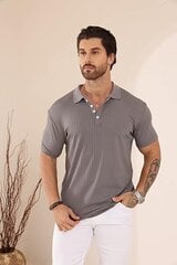 Мужская рубашка-поло Plilima, серая цена и информация | Мужские футболки | kaup24.ee