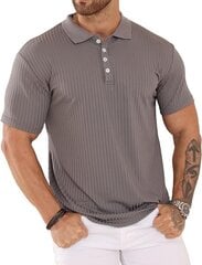 Мужская рубашка-поло Plilima, серая цена и информация | Мужские футболки | kaup24.ee