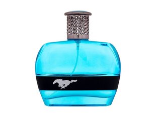 Tualettvesi Ford Mustang Blue EDT meestele, 100 ml hind ja info | Meeste parfüümid | kaup24.ee